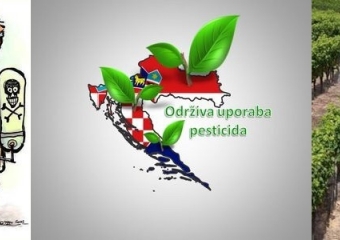 Općina Bale Valle