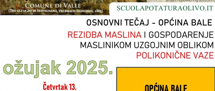 Osnovni tečaj - rezidba maslina i gospodarenje maslinikom uzgojnim oblikom polikonične vaze.