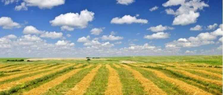 Javni poziv za iskazivanje interesa za zakup poljoprivrednog zemljišta